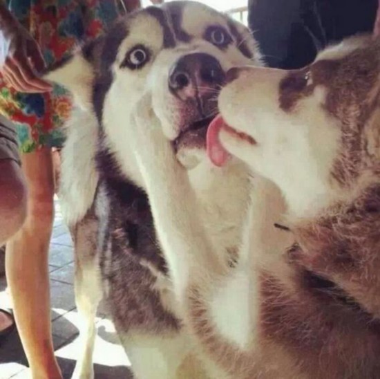\