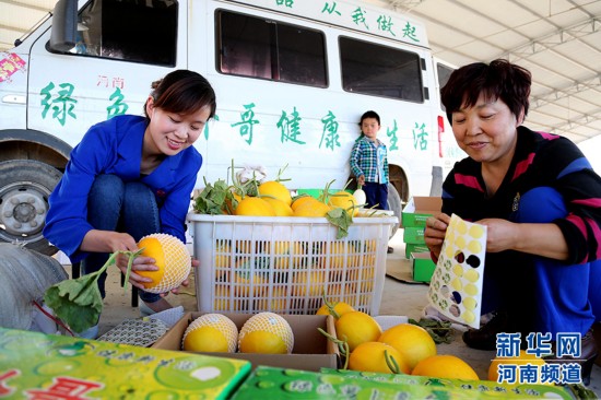 河南滑县:香瓜甜又脆 喜悦写脸上