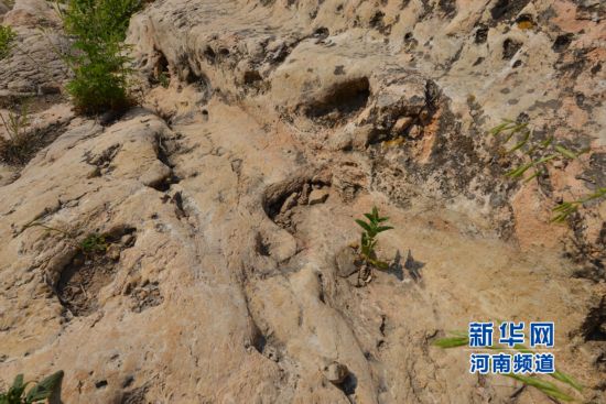 图片版权归原作者所有