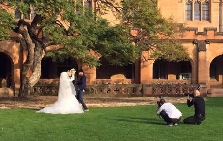 刘强东奶茶妹妹巴黎大学拍婚纱照 盘点娱乐圈