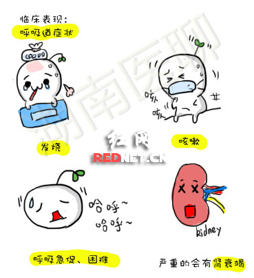 湖南一医学生手绘漫画:1分钟看懂MERS(图)