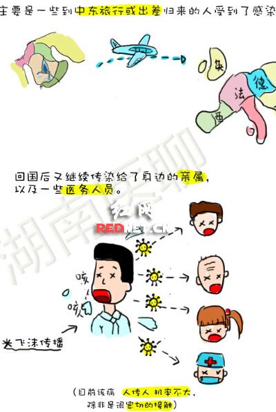 湖南一医学生手绘漫画:1分钟看懂MERS(图)