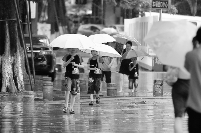 东莞将打造海绵城市破解内涝