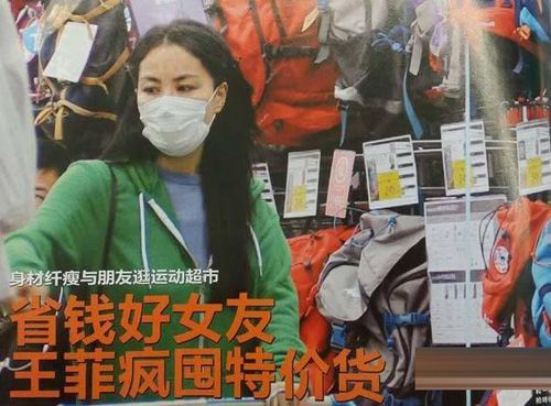 天后入市?网曝王菲赴证券所开户炒股(图)