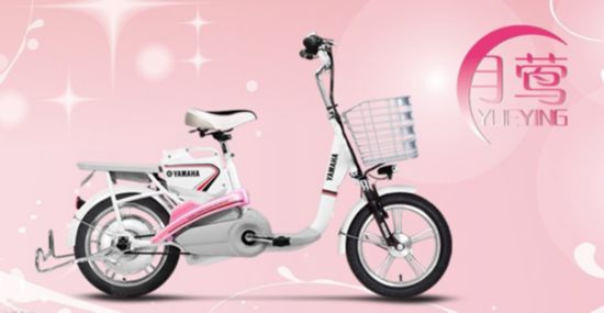 真实力真口碑 爱玛稳居中国十大电动车排名冠