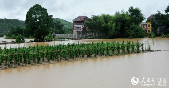 组图:江西德兴降下今年以来最大暴雨 山洪暴发