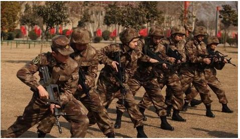 综艺节目的四川韩国泡菜味儿的五大解读