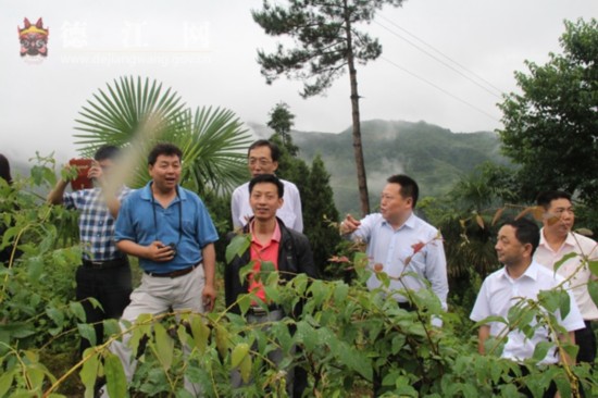 水利部到我县调研高效水土保持植物资源种植情