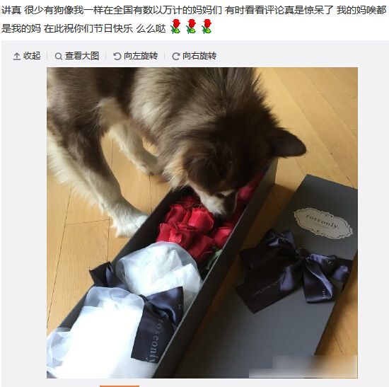 o;ii;d;Apple Watch;]