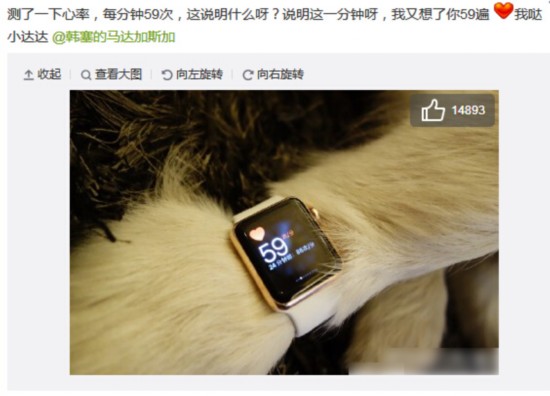 o;ii;d;Apple Watch;]