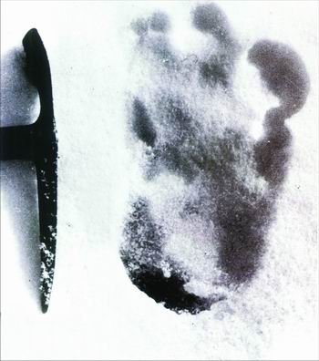 大自然未解之谜：神秘“怪物”全球大搜罗
