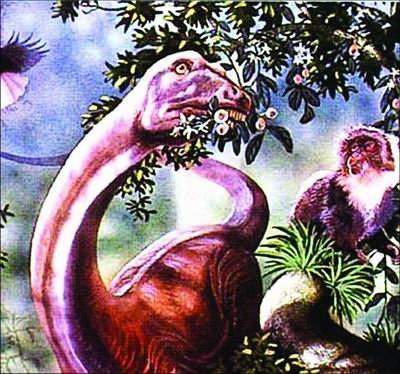 大自然未解之谜：神秘“怪物”全球大搜罗