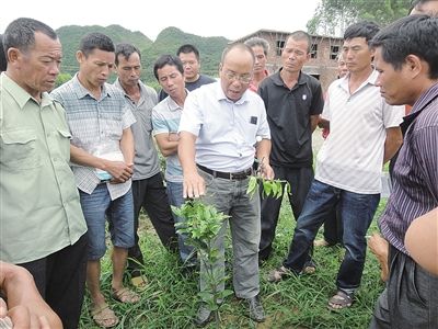 忻城:农技培训到田间