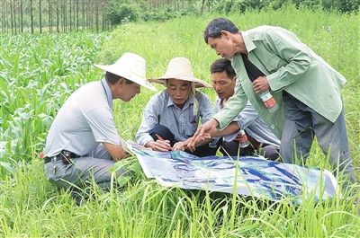 忻城扎实推进土地确权工作