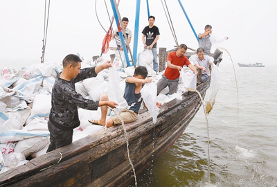 人民日报:连云港放流中国对虾幼苗9700万尾