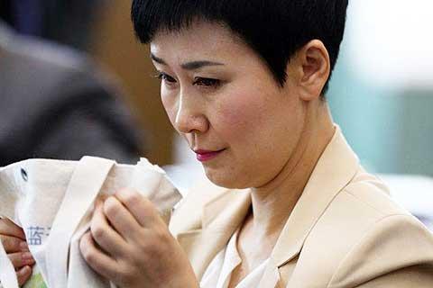 李小琳首度現身公眾視野，是2008年。這一年，47歲的她接任中國電力董事長，並當選全國政協委員。媒體紛紛轉載《名仕》雜志發表於2005年的一篇人物報道《李小琳 公主CEO也要愛美麗》，全方位介紹李小琳其人。