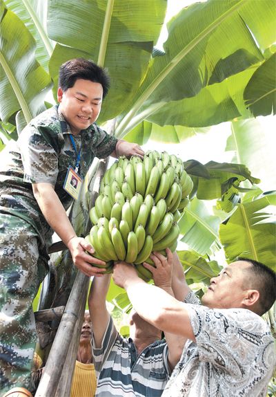 上下通达一站牵--广西钦州市党建工作站建设掠