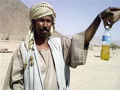  世卫组织发警告 :别喝骆驼尿!--浙江频道--人民网