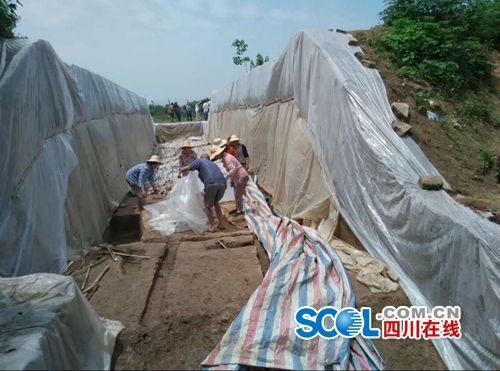 图片版权归原作者所有