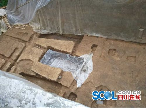 图片版权归原作者所有