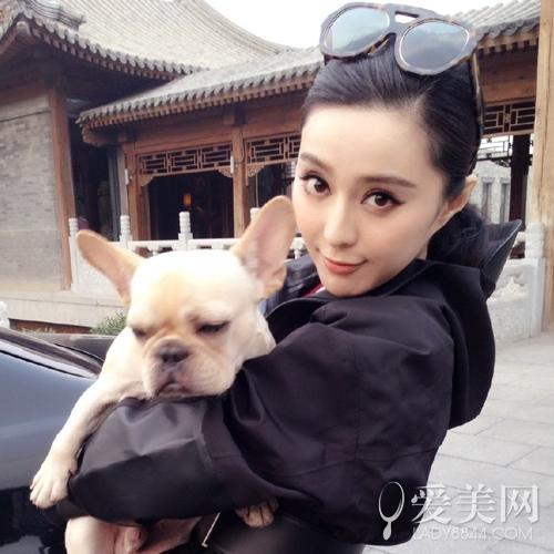 范冰冰救被撞孩童 明星好感度排行范冰冰居首