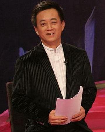 央视十大名嘴罗京妻子_财政收入结构_央视名嘴们的收入(3)