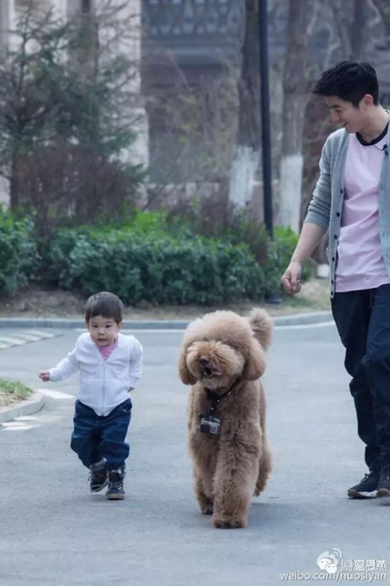 爸爸回来了第二季杜江霍思燕暖心 嗯哼不认爹