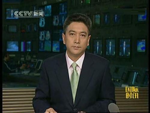 央视十大名嘴罗京妻子_收入支出明细表模板_央视十大名嘴收入