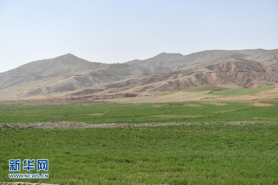 宁夏防治荒漠化 沙化土地连续20年持续减少