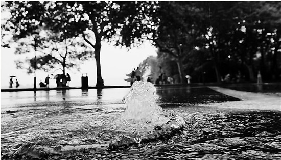 12小时下70个西湖 杭州开启看海模式(图)