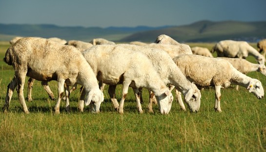女子高楼晒被子抖落婴儿 令人唏嘘的悲剧事件