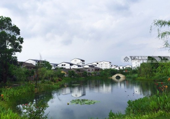 南宁西乡塘区:忠良屯美丽如画 农家乐开幸福花