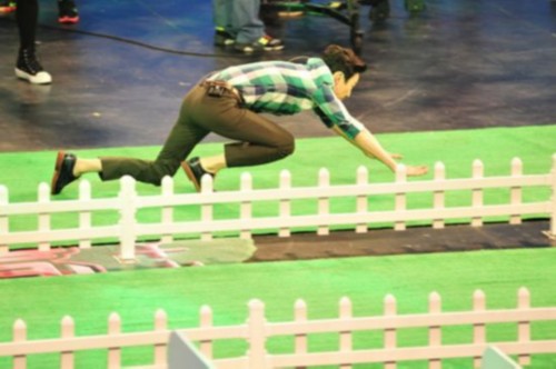 何炅摔倒!录《为她而战》节目与狗狗赛跑不慎