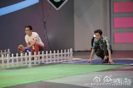 何炅摔倒是怎么回事?《为她而战》录制现场过