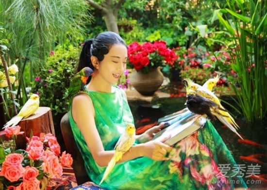 杨丽萍家中看书小鸟相伴 容颜不老如仙女