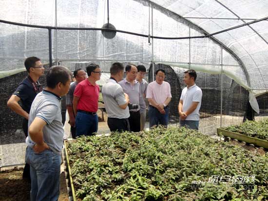 省农委到贞丰督查指导现代高效农业园区建设工