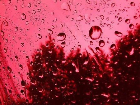 哥倫比亞血雨