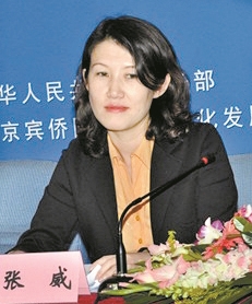 找准自贸区战略契合点 加快洛阳片区申建