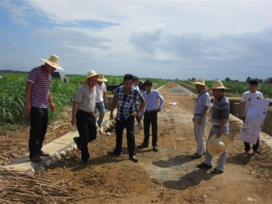 南宁市国土资源局到江南区苏圩镇检查土地整治