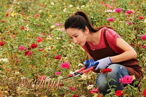 《<em>你是我的姐妹</em>》33、34集:白富美下药诬陷石