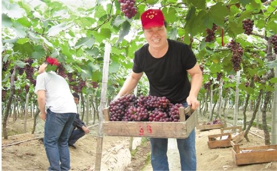 街道党员服务队助力微商