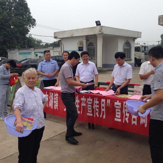 庐江县白湖镇开展安全生产月宣传咨询活动