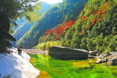 宁德寿宁杨梅洲:寻山问水觅清凉