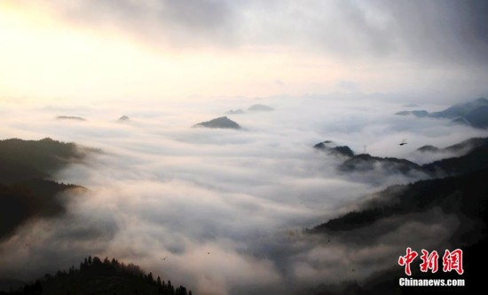 重庆酉阳雨后现云海美景 云雾缭绕宛若仙境
