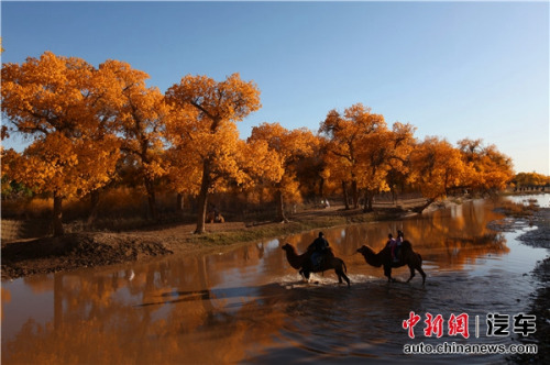 博杯乌拉特越野拉力赛19日将在乌拉特后旗举