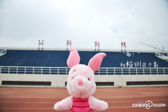 玩偶扮演大学日常 用镜头记录西大女生的一天