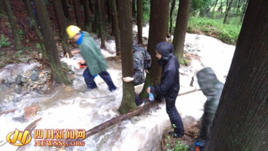 巴中一老人迷失原始森林 警民冒雨三天成功救