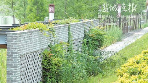 上半年盐城空气质量继续名列江苏第一