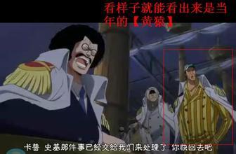 海贼王漫画782话:明哥被捕藤虎大将下跪 废除