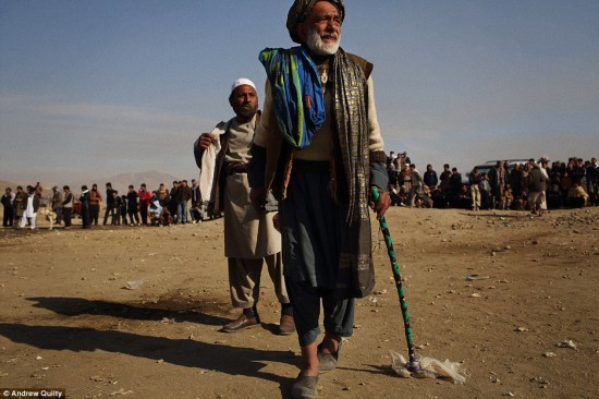 镜头记录阿富汗人传统:搏斗游戏(高清组图)